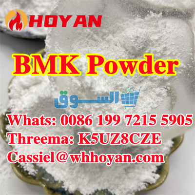 BMK Glycidic Acid (sodium salt) CAS 5449-12-7 Bmk Powder