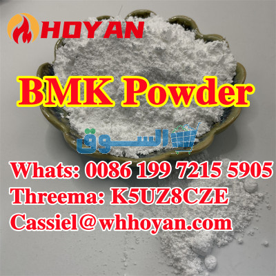 BMK Glycidic Acid (sodium salt) CAS 5449-12-7 with best price