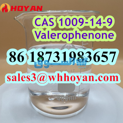 CAS 1009-14-9 Valerophenone factory sale Russia/Kazakhstan/Ukraine