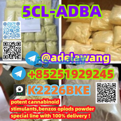 Wholesale 5cladba,5CL-ADBA,5CL for sale by best price +85251929245