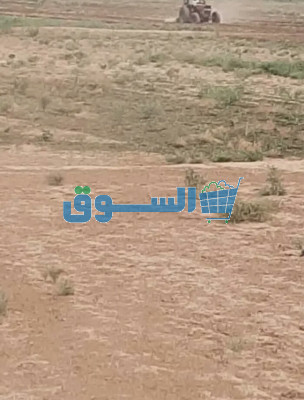 اليمن
