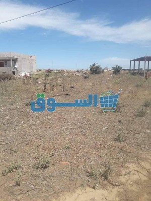 ارض للبيع
