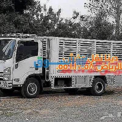 دينا نقل عفش حي الرمال 0556017058