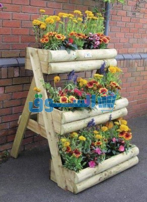 نباتات حديقة