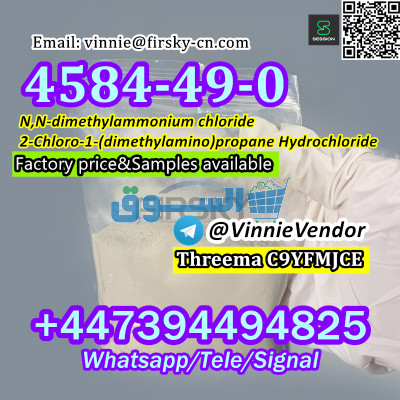 Hot Selling N,N-dimethylammonium chloride CAS 4584-49-0 with Fast Delivery in Stock