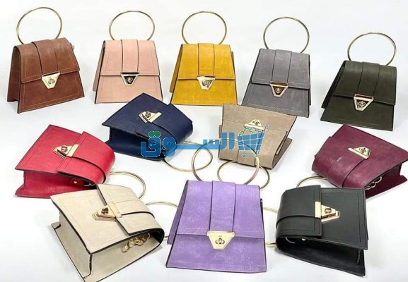 مجموعة حقائب