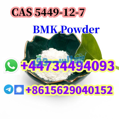 CAS 5449-12-7 BMK Glycidic Acid (sodium salt) Powder